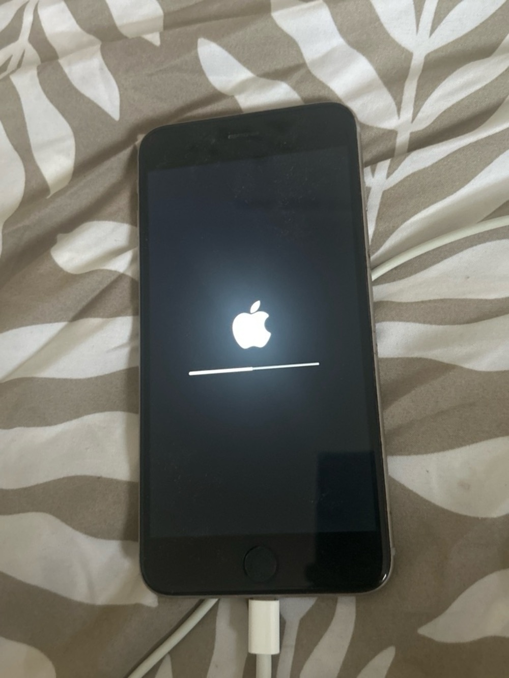 Apple Black iPhone with Lightning Charging